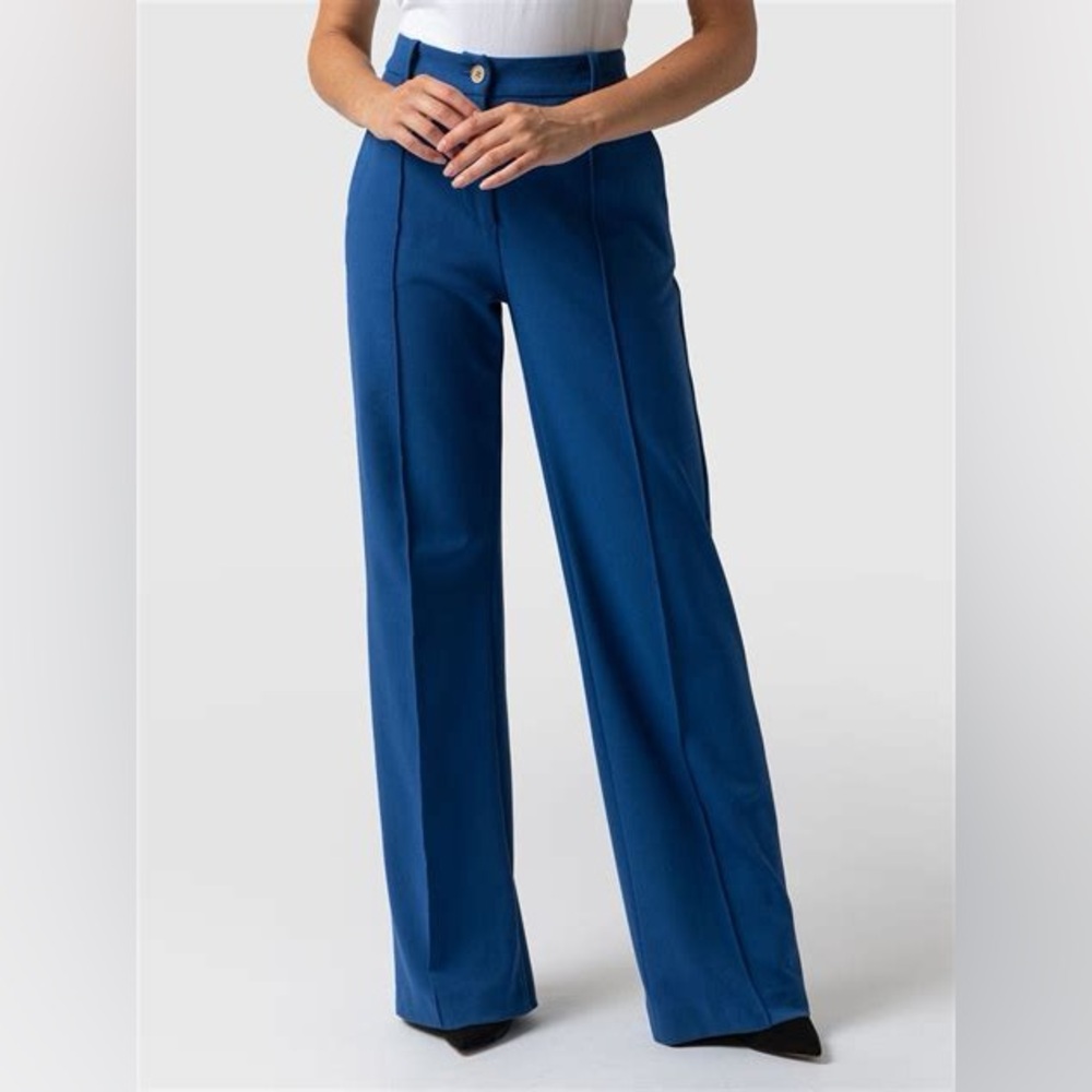 Elegant & Fun Royal Blue Pants